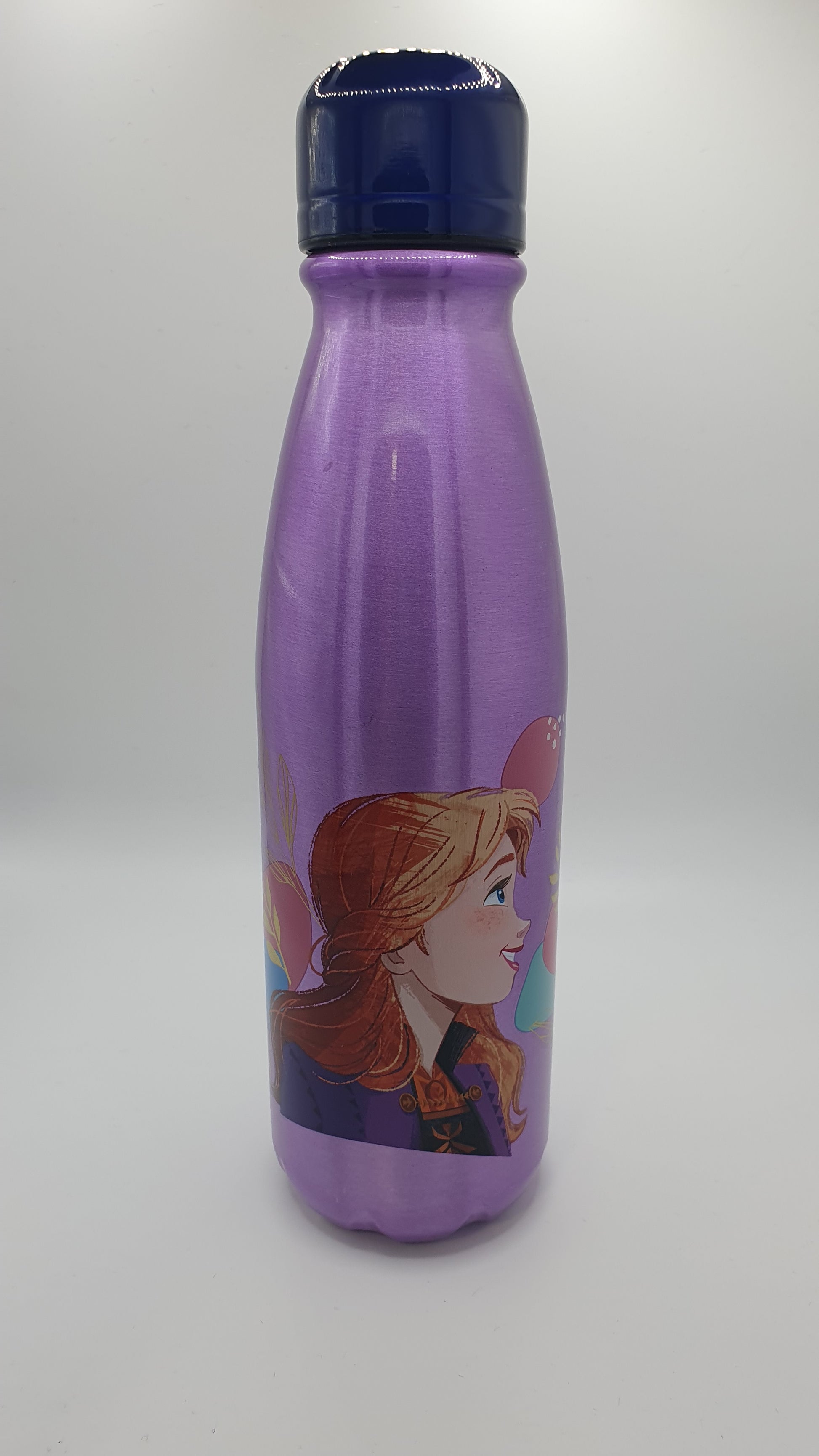 bouteille aluminium disney reine des neiges